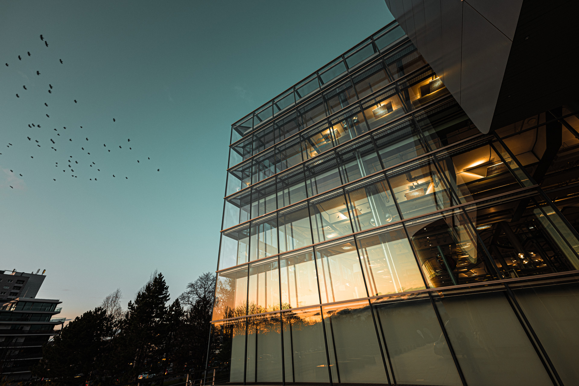 Vögel fliegen an Gläserner Manufaktur vorbei